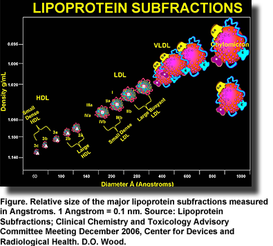 Introduction to Lipids and Lipoproteins - Endotext - NCBI Bookshelf