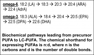 brenna-fig-3